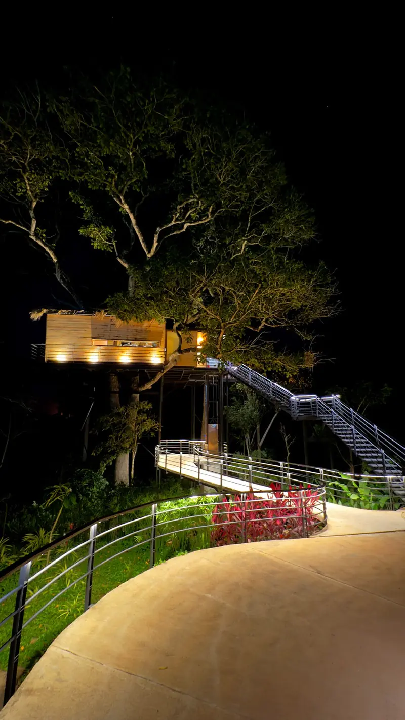 Sendero iluminado
