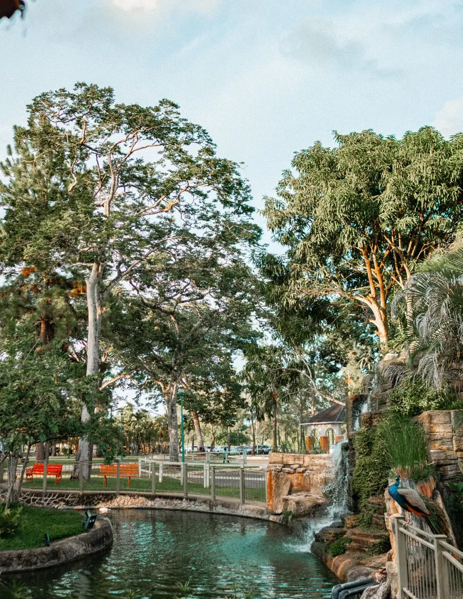 Jardines y lagunas del hotel